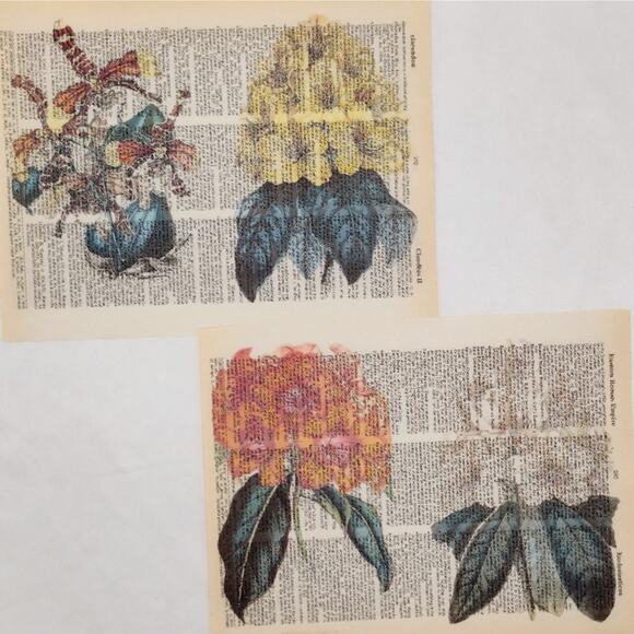 Flower Dictionary Prints 2, Colorful Floral Prints, Book Page Prints - Picture 5 of 6